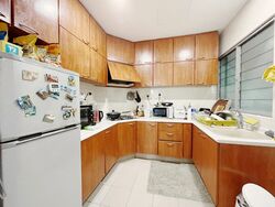 The Oxley (D9), Apartment #482791921